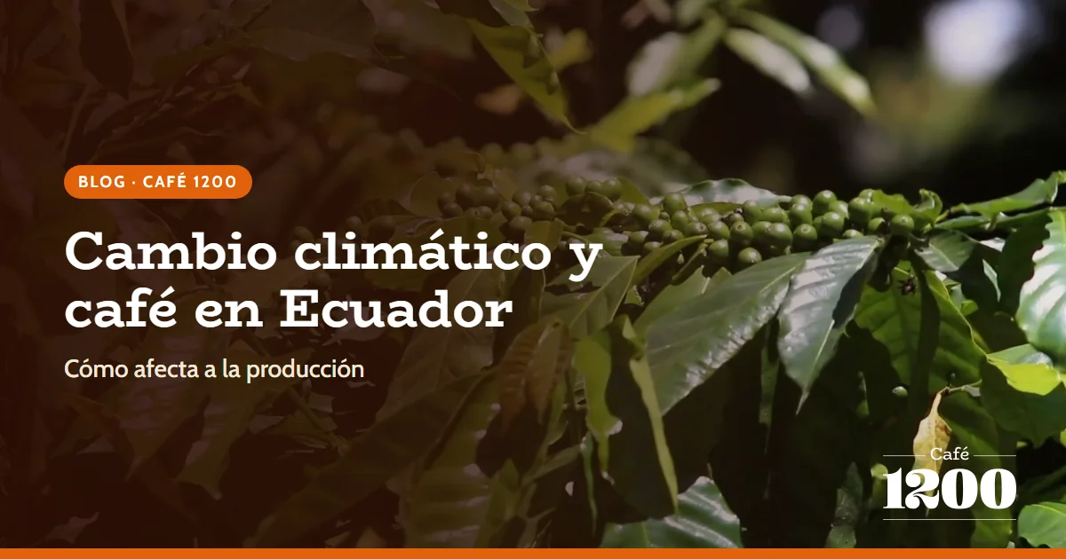 El Impacto del Cambio Climático en la Producción de Café en Ecuador
