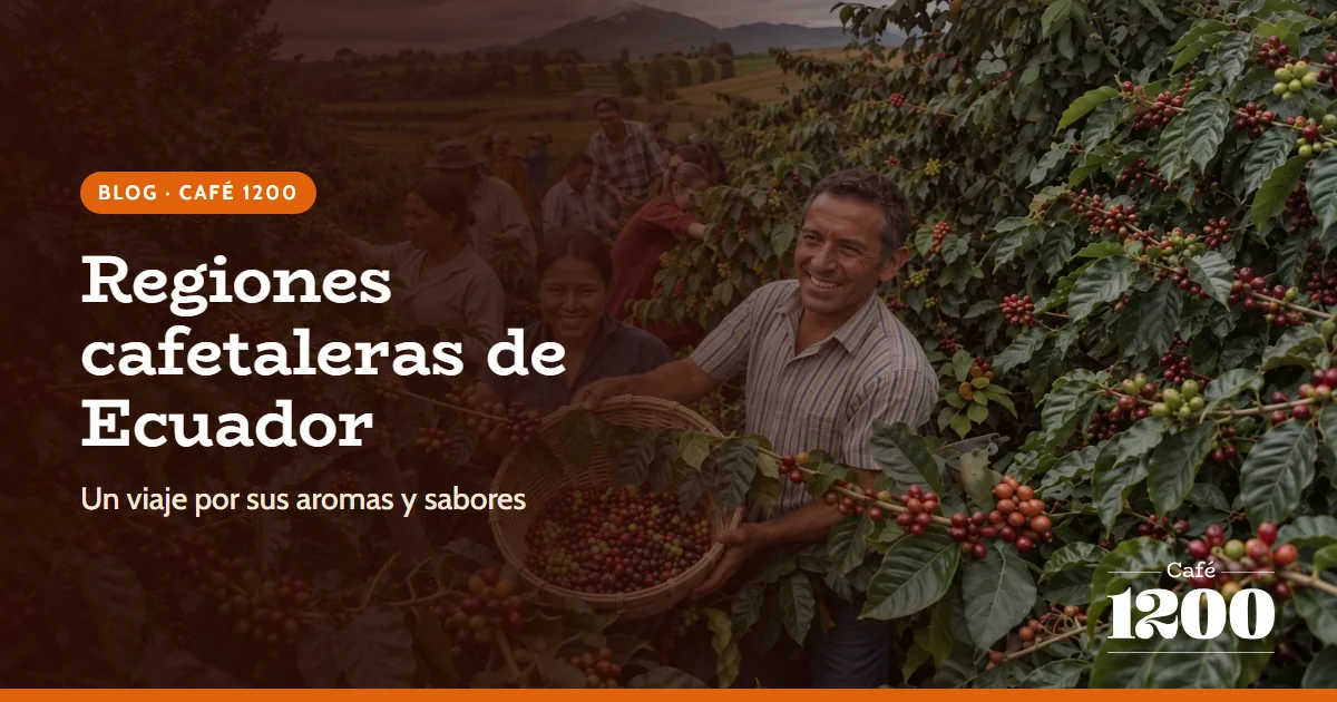 Regiones Cafetaleras de Ecuador: Un Viaje por sus Aromas y Sabores