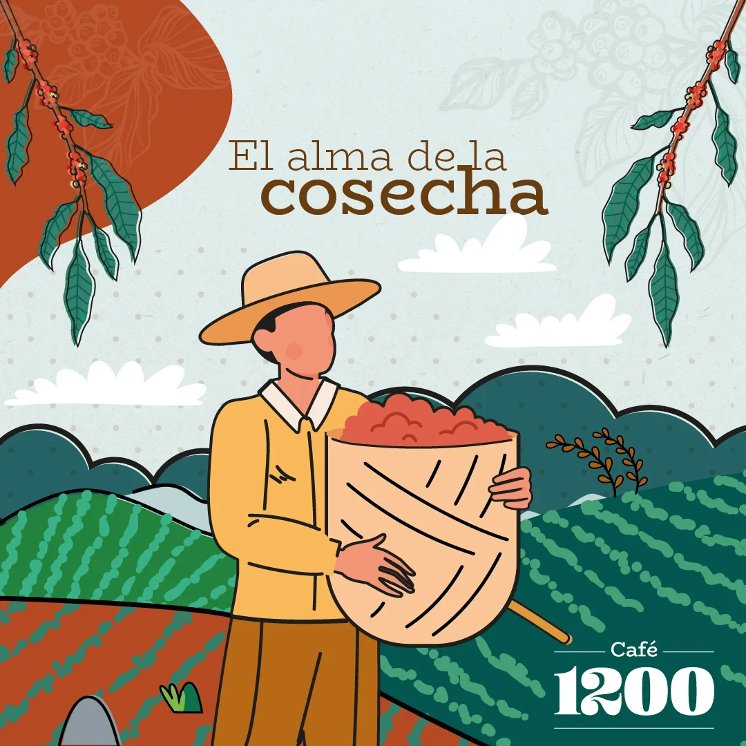 Ilustración de un caficultor con su cosecha de café